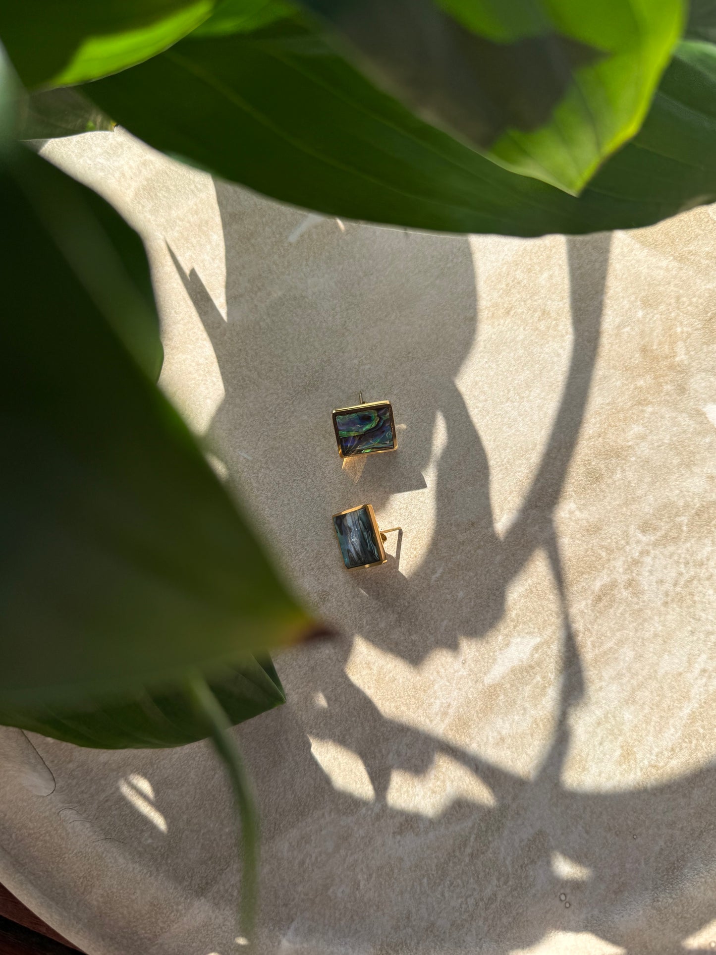 Tapawhā Pāua Gold Earrings - Tahana Jewellery