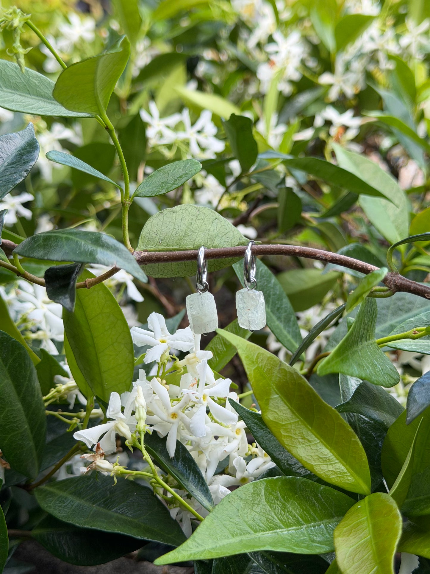 Matomato Wai Gold Huggies