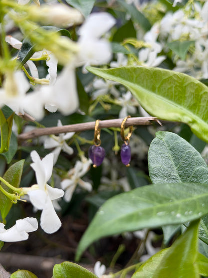Ngākau Aroha Pāpura Gold Huggies