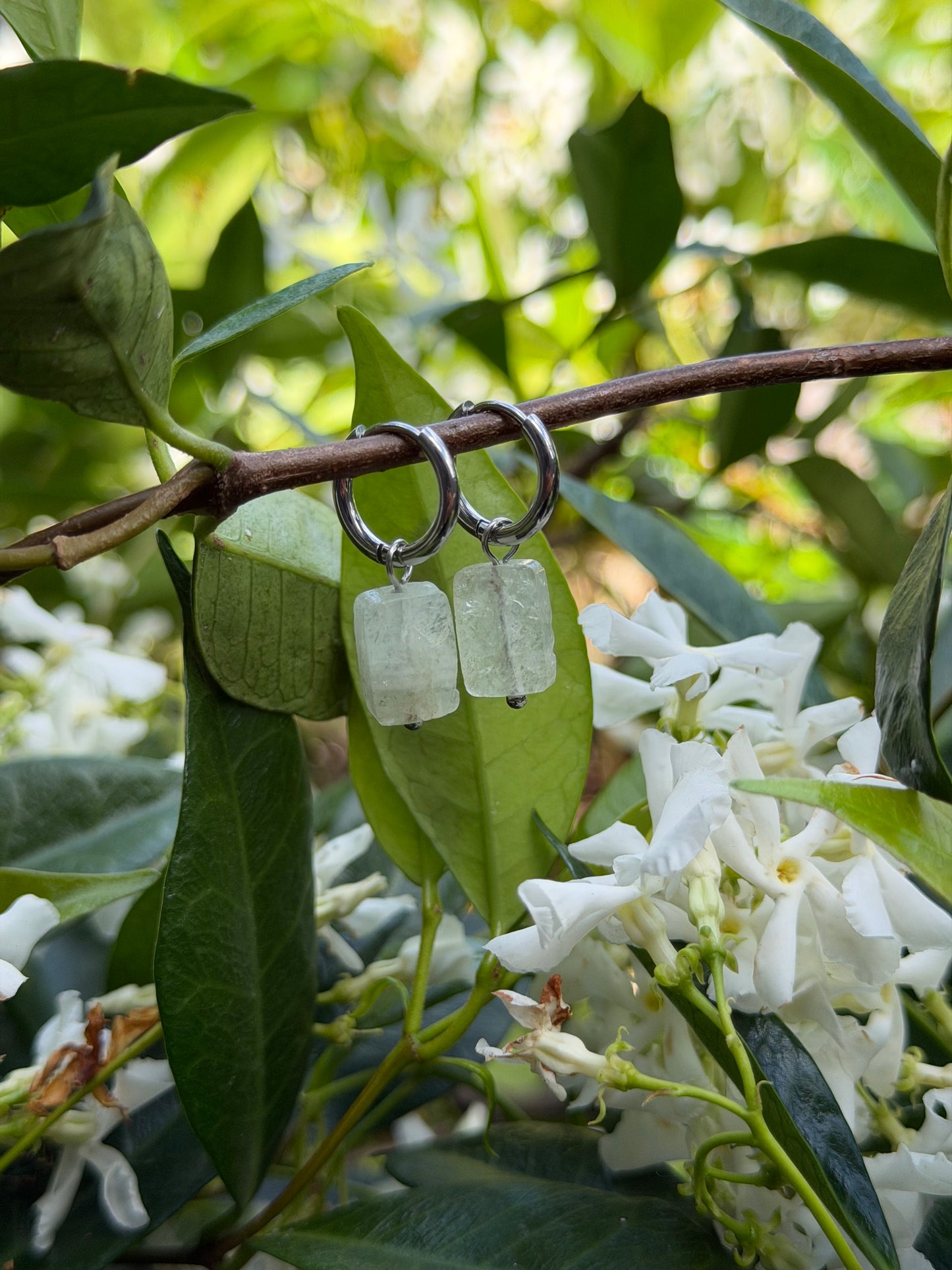 Matomato Wai Gold Huggies