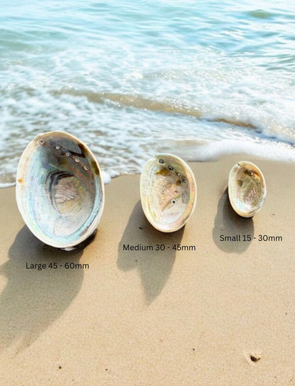 Pāua Silver Necklace - Limited Edition